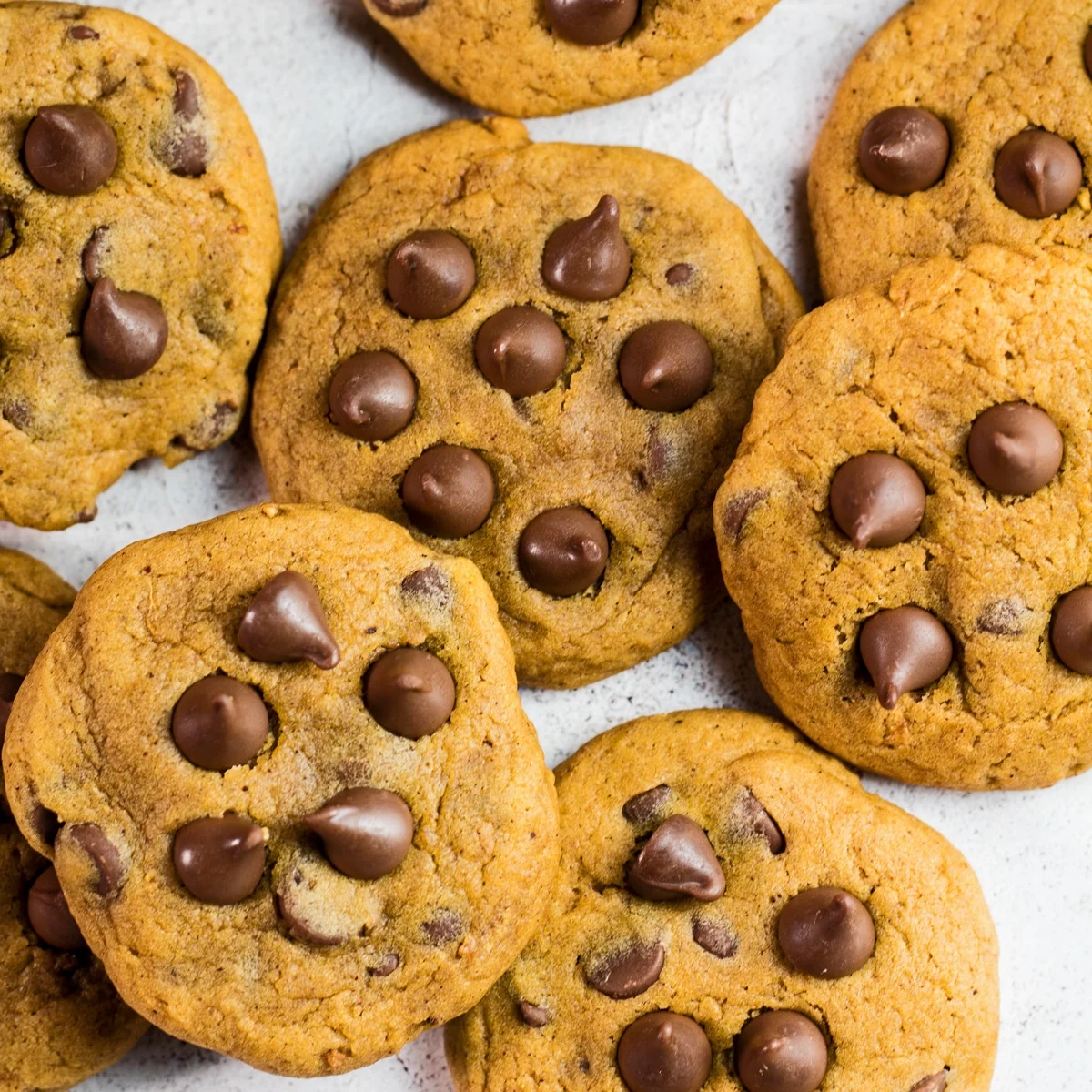 Pumpkin Chocolate Chip Cookies lg